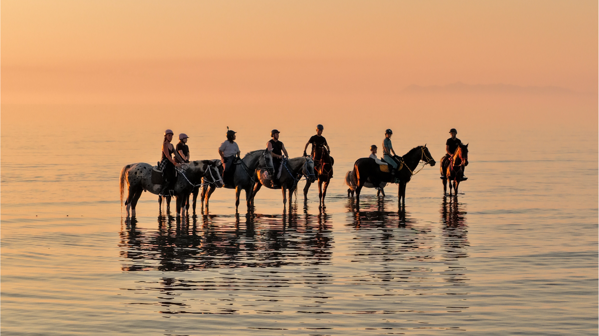 Horses crossing a desert landscape near the Atlas Mountains