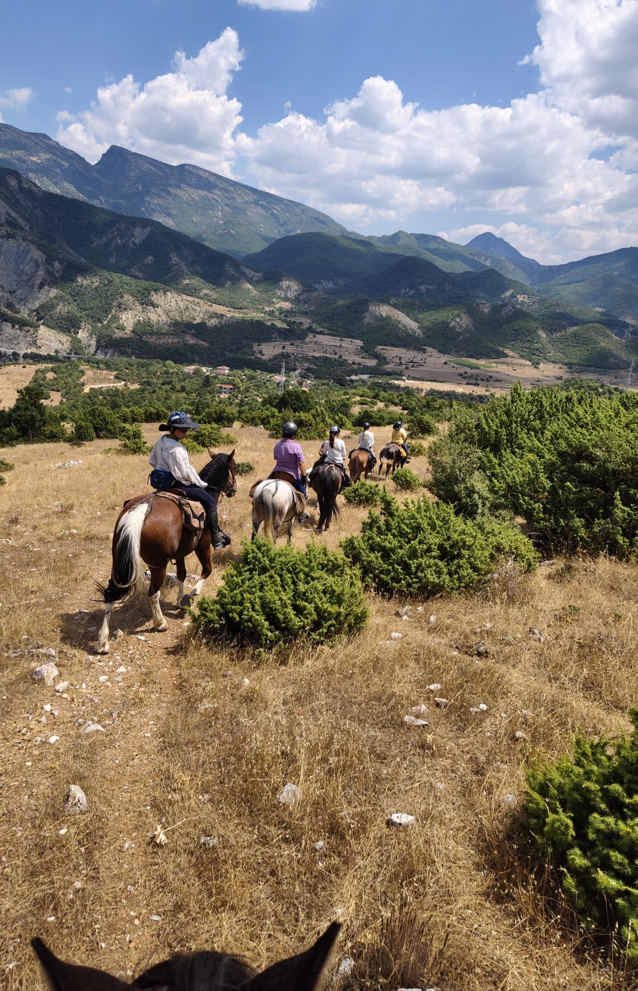 Gallery Albania