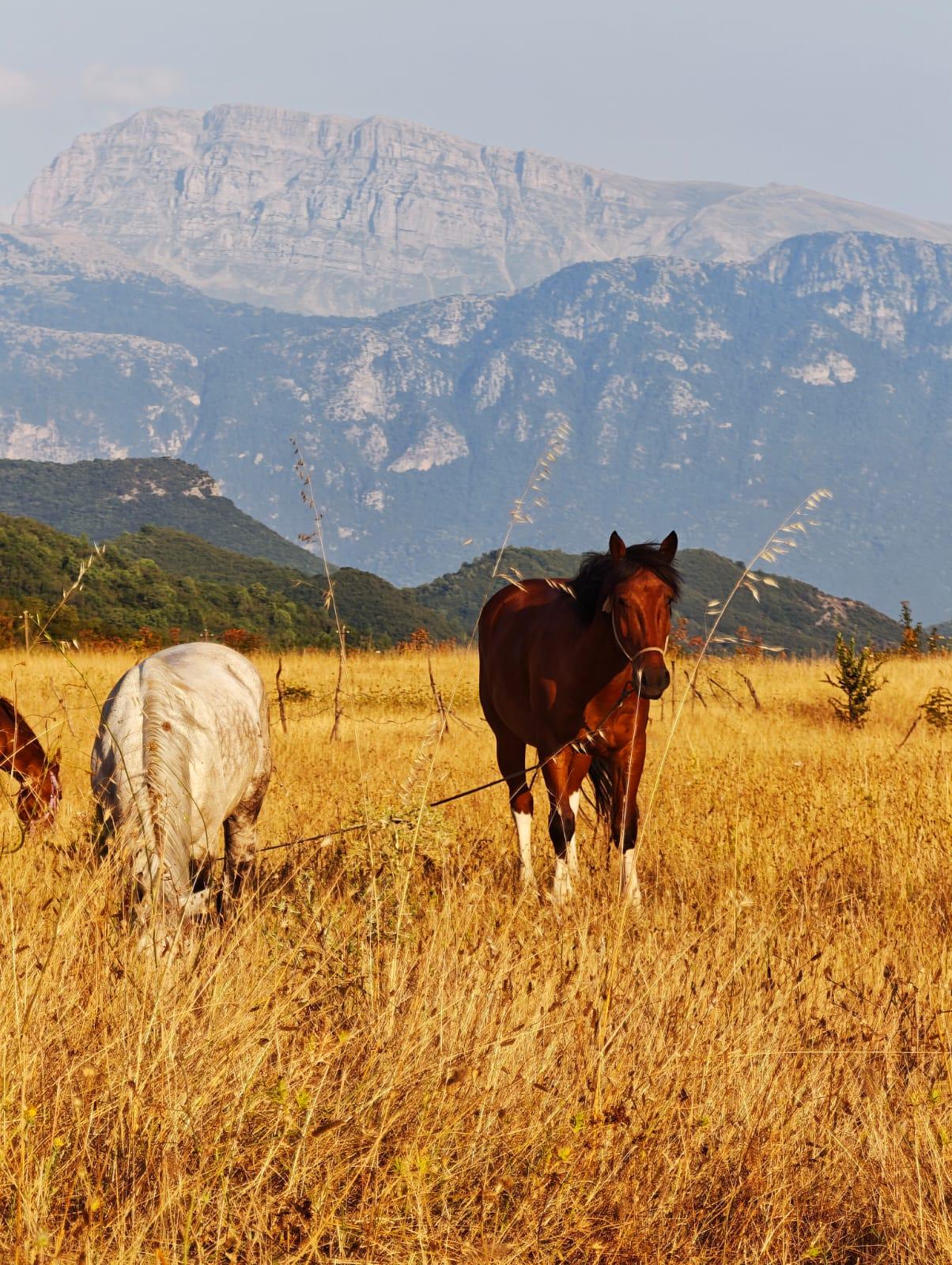 Riders crossing a wild mountain valley in Albania