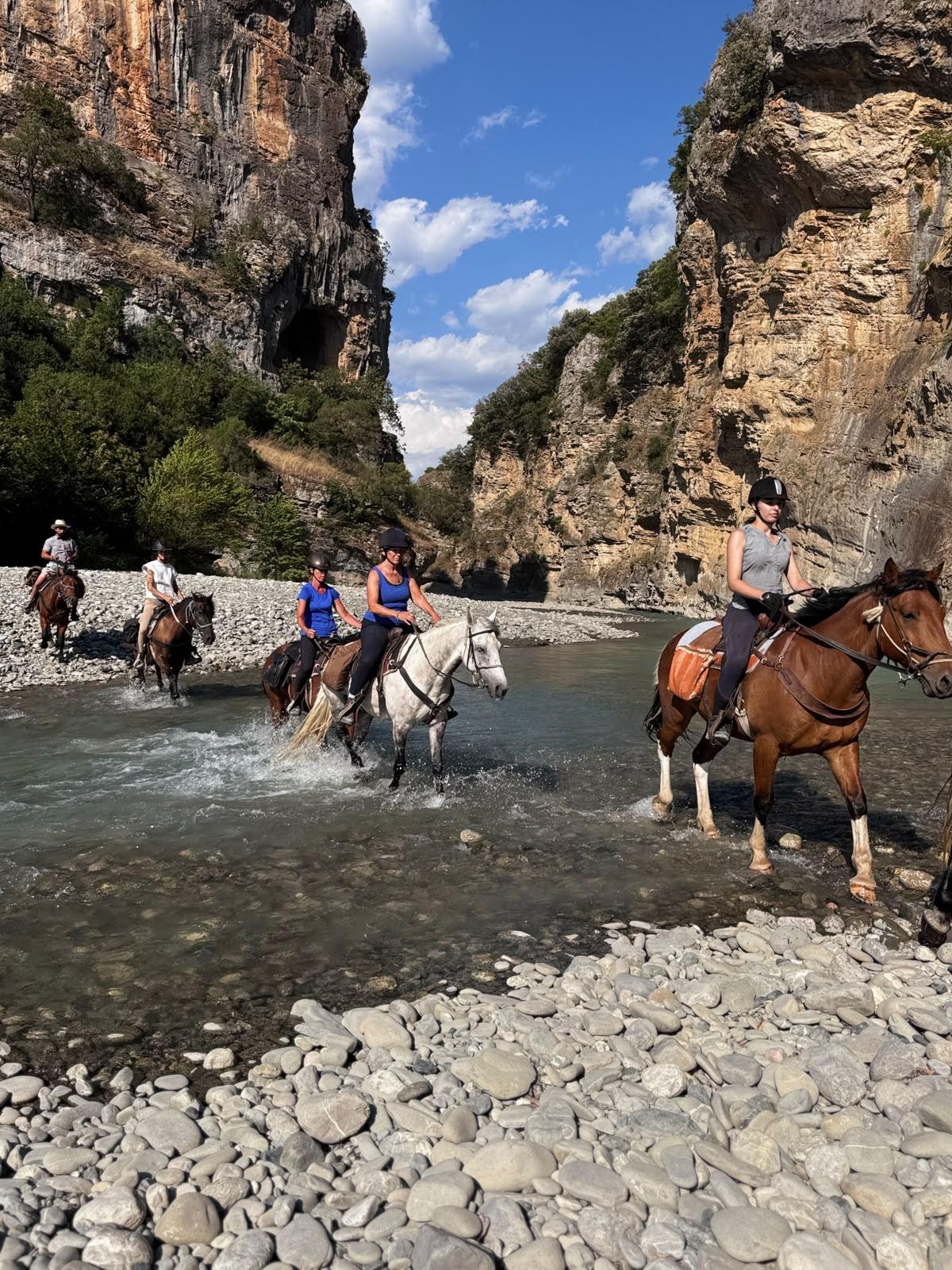 Gallery Albania